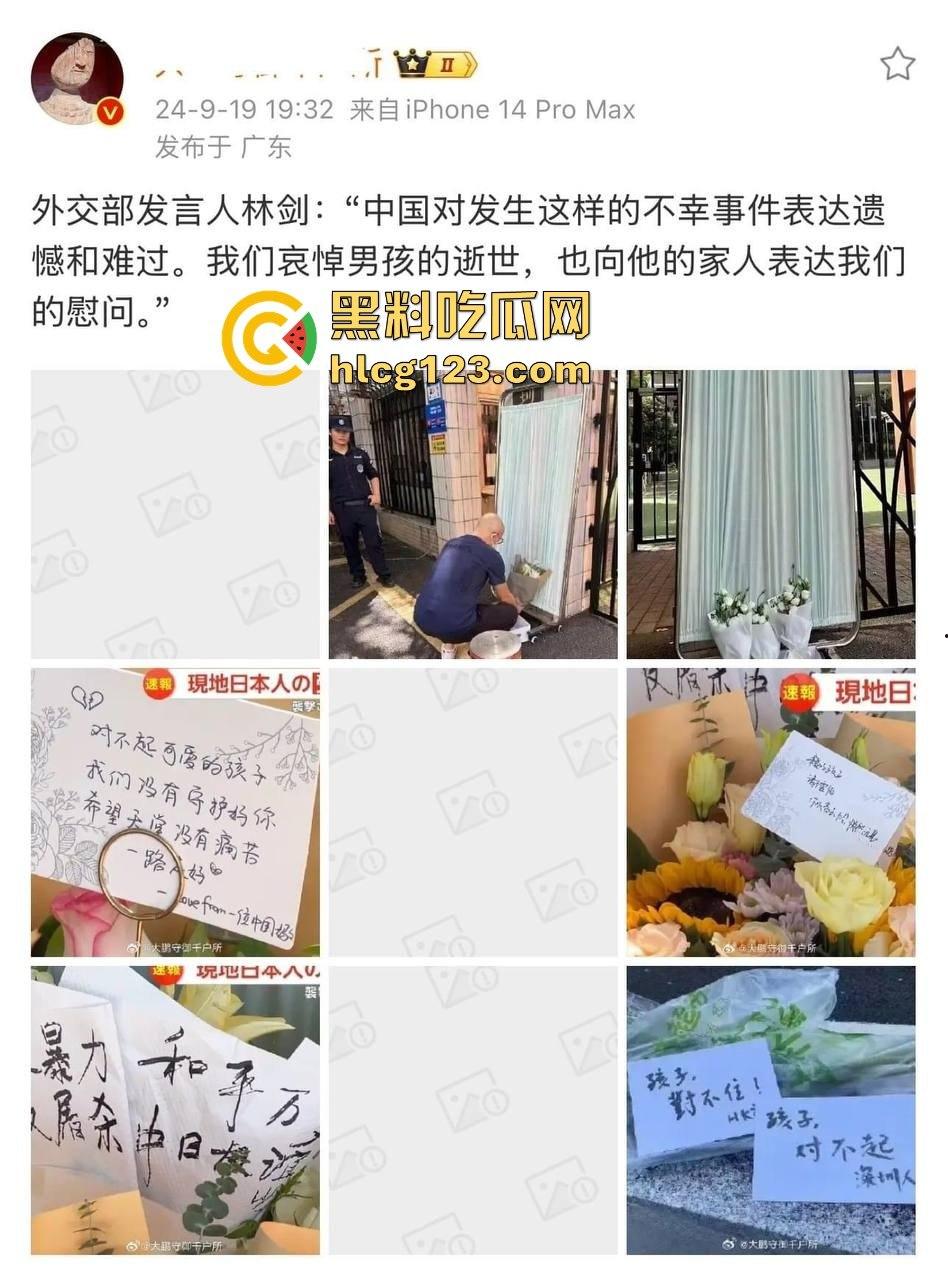 罗翔翻车了!一边谈历史一边踩雷,借排满聊排日,网友质疑他在搞民粹渗透!-5