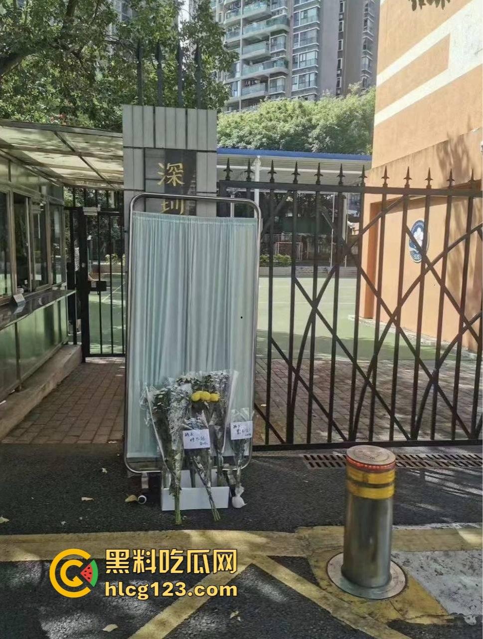 罗翔翻车了!一边谈历史一边踩雷,借排满聊排日,网友质疑他在搞民粹渗透!-8