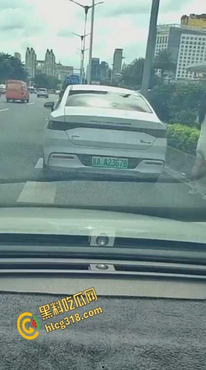 广西南宁街边桂A23678，车上女子下车蹲在马路上，脱掉连衣裙就开始拉！