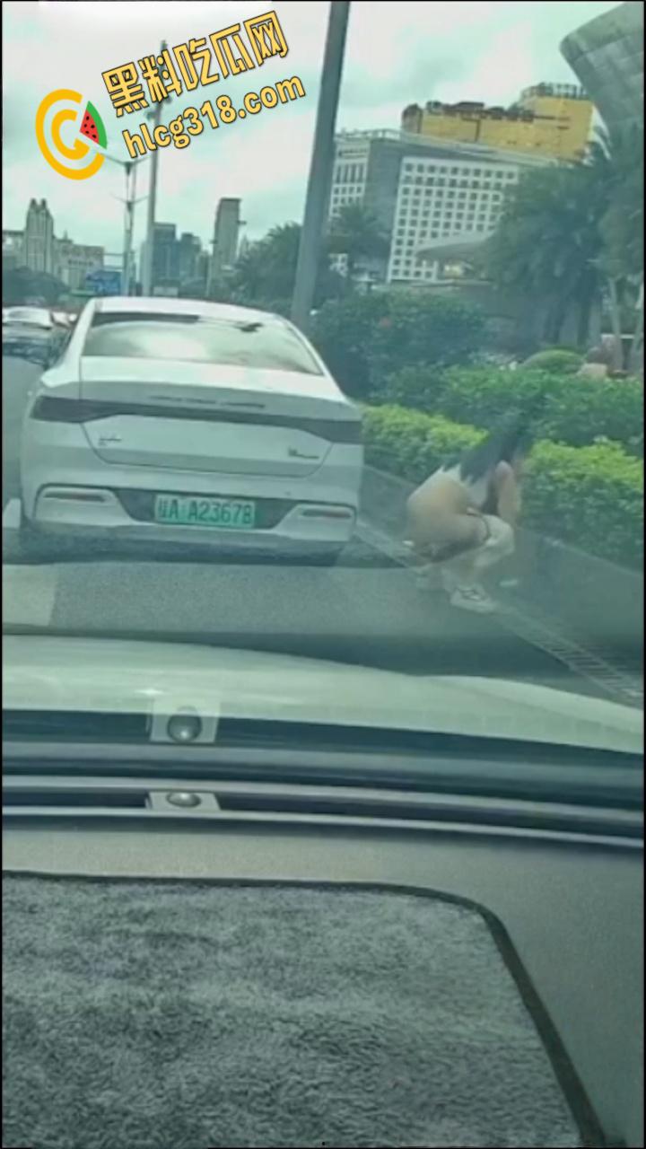 广西南宁街边桂A23678,车上女子下车蹲在马路上,脱掉连衣裙就开始拉!-7
