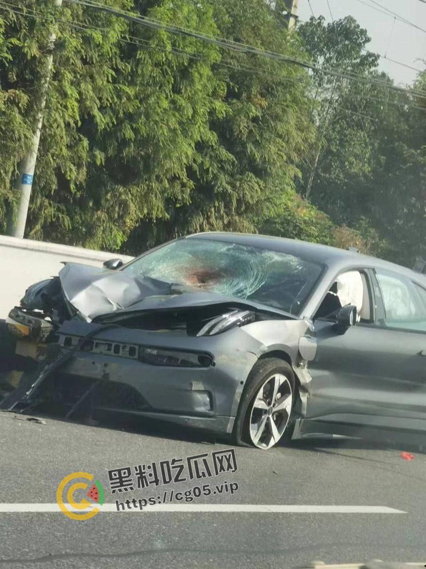 浙江极氪001撞死横穿马路路人 人头分离 整个脑浆撞出来了 现场血腥画面报告