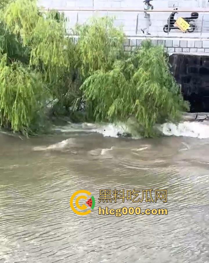好悬啊!杭州闻堰突然大潮,小朋友在河边玩,未及时发觉被洪水冲走,还好及时抓住了树枝解救,险象环生!-6