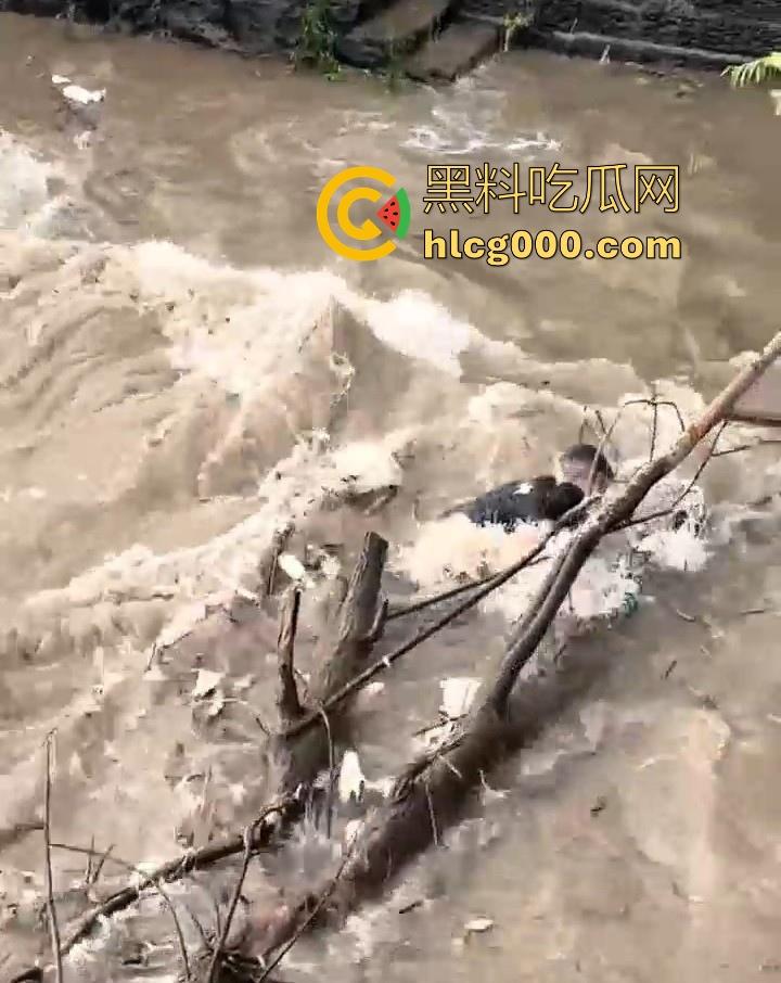 好悬啊!杭州闻堰突然大潮,小朋友在河边玩,未及时发觉被洪水冲走,还好及时抓住了树枝解救,险象环生!-9