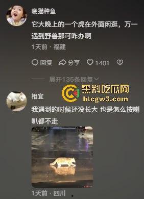 司机遇东北虎赖在公路上,喇叭按了几遍,结果虎王连动都不动,这哪是动物简直是路霸!-8