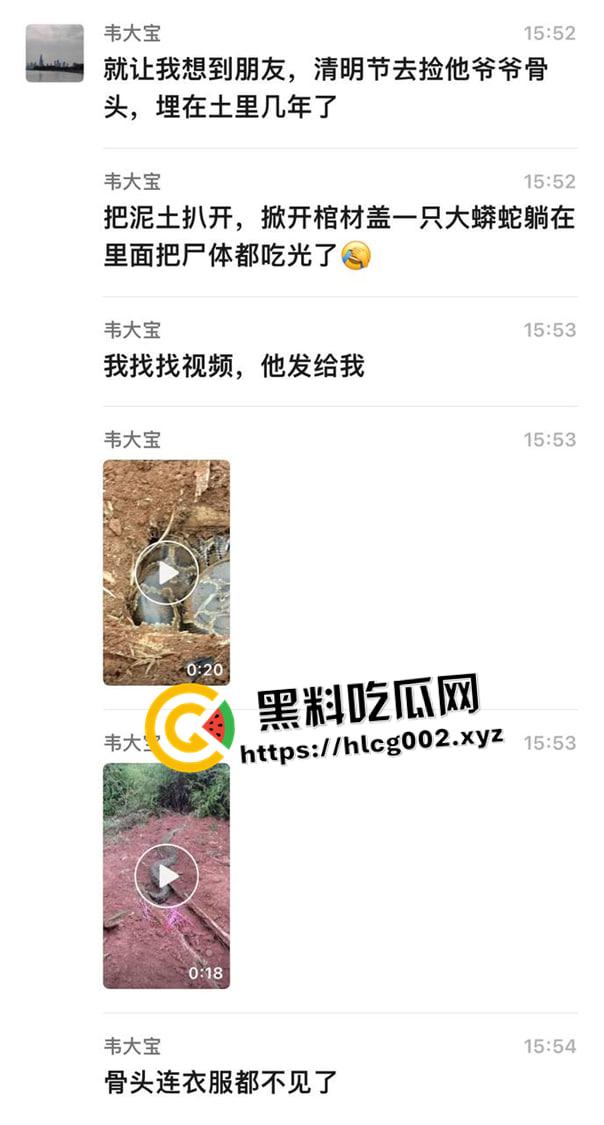 爷爷真被蛇精抓走了！网友清明上坟发现大蟒蛇躺在爷爷棺材 这下真的是蛇精还我爷爷了