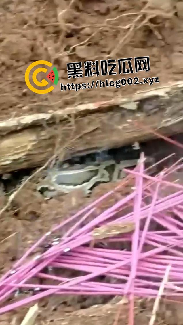 爷爷真被蛇精抓走了！网友清明上坟发现大蟒蛇躺在爷爷棺材 这下真的是蛇精还我爷爷了-2