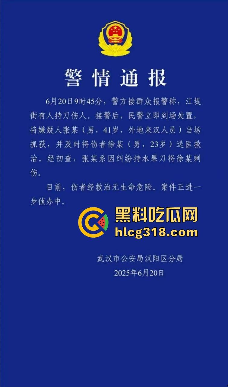 武汉江堤街持刀伤人,41岁嫌疑人张某持水果刀当着警察面捅杀被害人,也是够牛逼的!-2