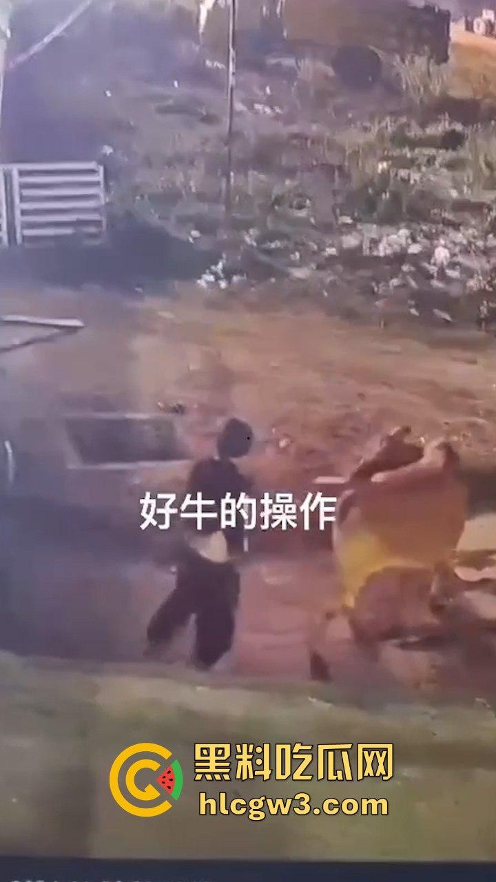 真实操兽:饥渴小哥不吹牛逼操牛逼 拔屌暴插大母牛 省钱免费逼还大 论狠人你是第一人!-3