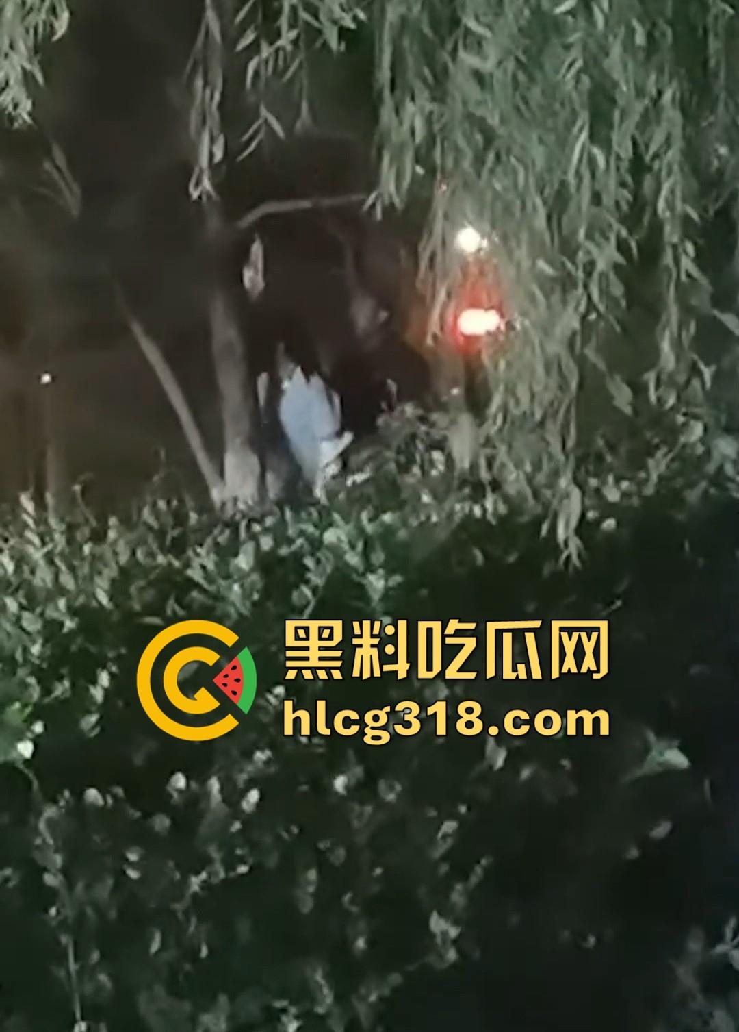 山东东营大爷大妈夜市小树林大战!直立后入爆操,激烈而迅猛,但仅仅只维持了一分多钟就潦草收场!-3