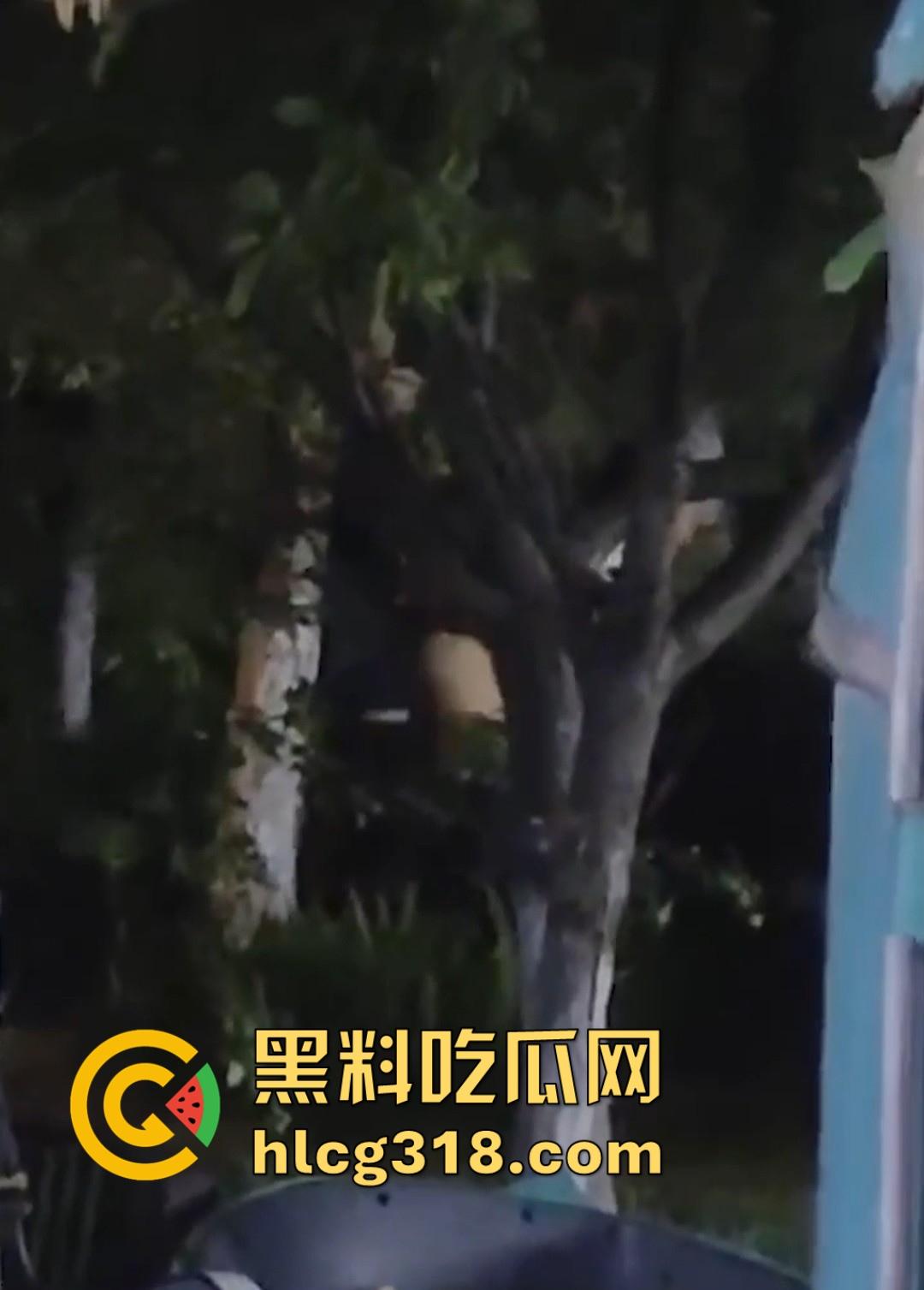 山东东营大爷大妈夜市小树林大战!直立后入爆操,激烈而迅猛,但仅仅只维持了一分多钟就潦草收场!-5