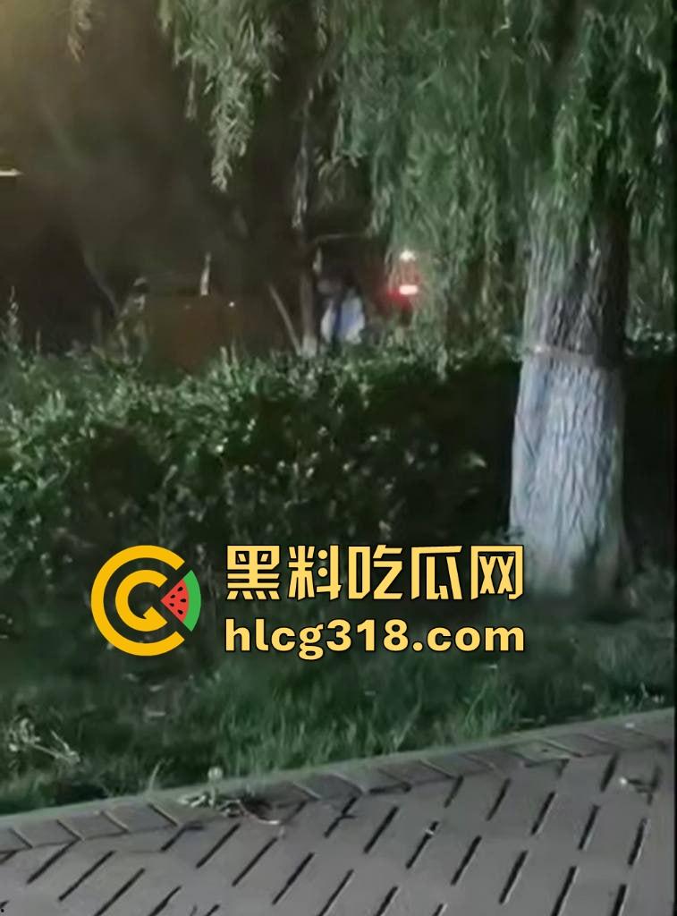 山东东营大爷大妈夜市小树林大战!直立后入爆操,激烈而迅猛,但仅仅只维持了一分多钟就潦草收场!-7