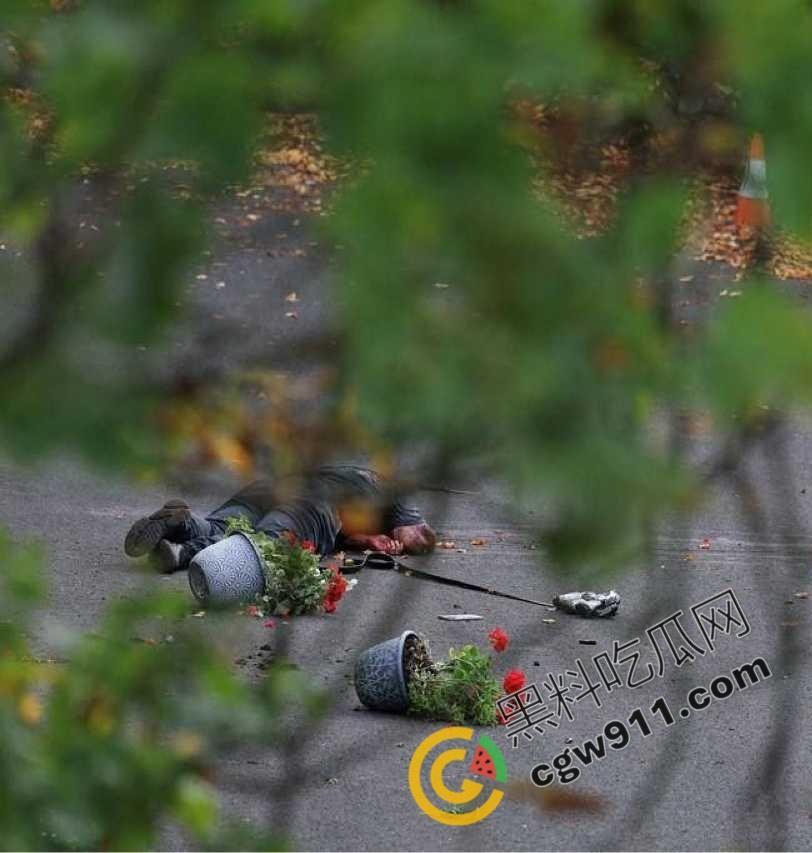 英国曼彻斯特犹太教堂持刀袭击事件:曼彻斯特希顿公园犹太会堂遭暴徒狂躁袭击,血腥惨剧惊天动地!-2