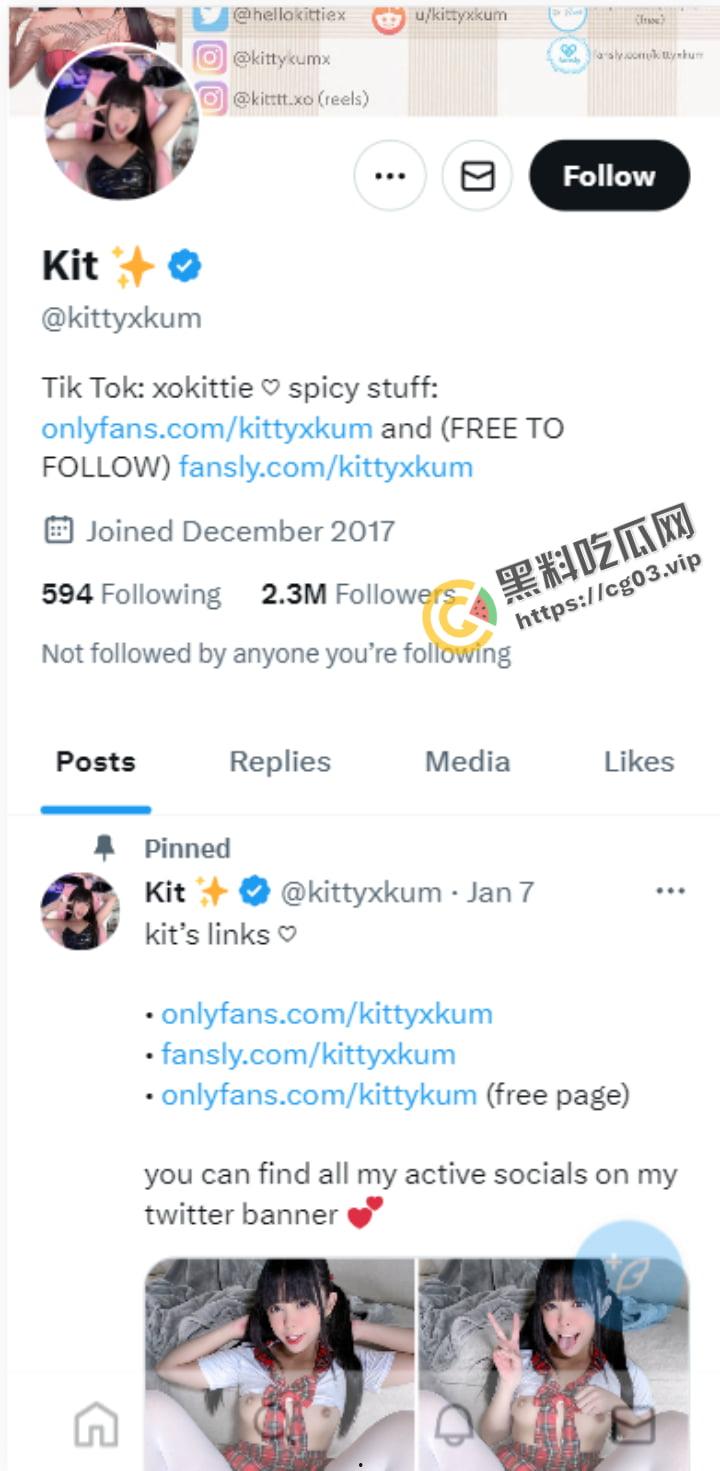 推特OF 两百万粉网黄博主淫乱萝莉【KittyXkum】11月最新付费福利 双马尾呆萌反差萝莉嫩妹!-1