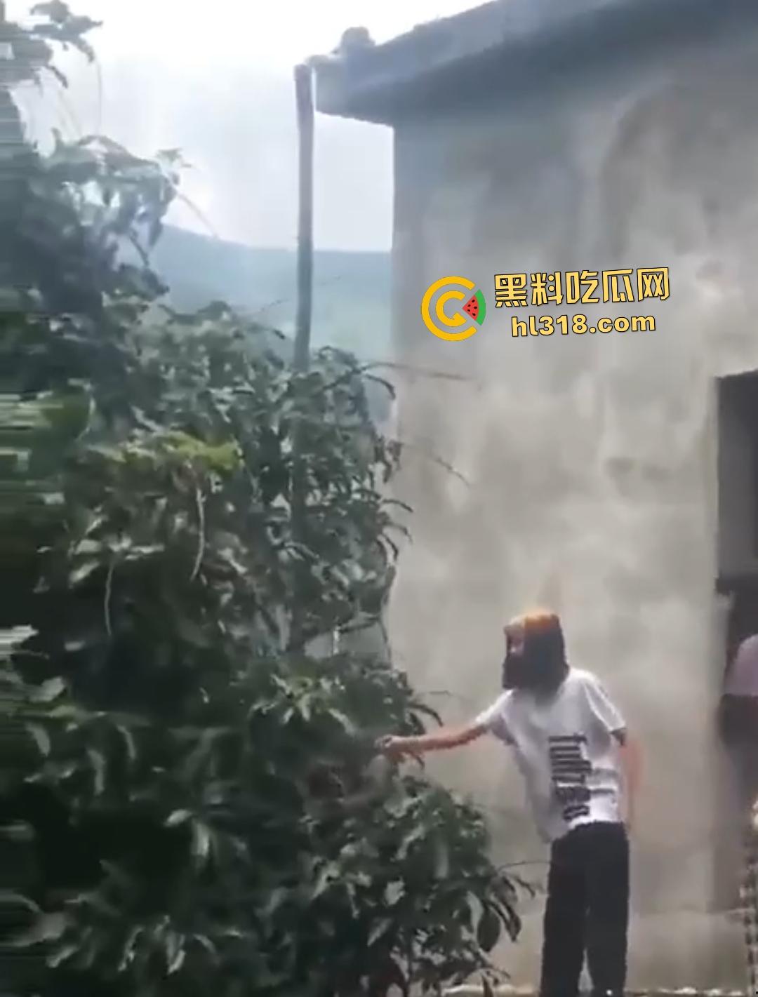 集美组团偷芒果翻车!白衣女孩瓦房“跳关”坠落陷阱,谁知这却是房主故意的陷阱!-8