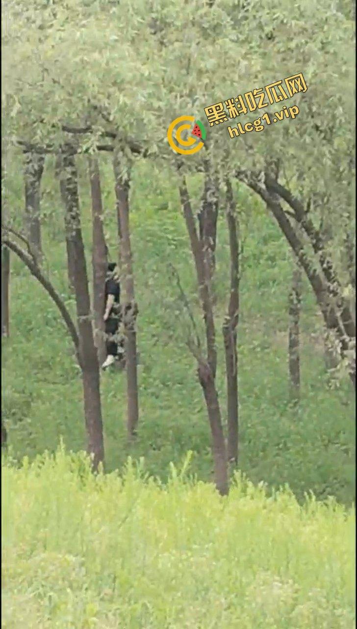河南台前县 抑郁症女子树林上吊自缢!被路人发现并报警 全程拍摄!-3