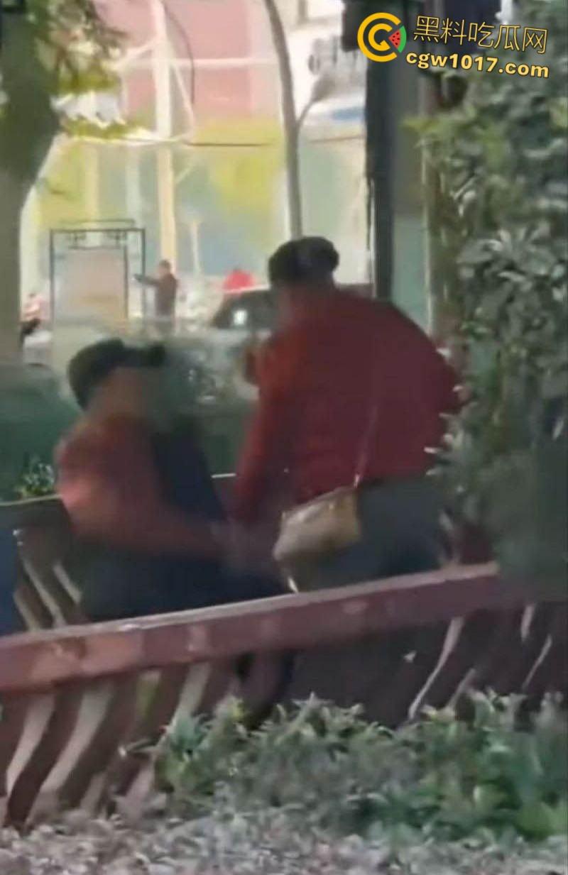 大白天凉亭活春宫,红衣大妈脱裤骑大爷,女上位啪啪响场面极其辣眼睛,大爷满脸春光,围观老头脸都红爆了 !-1