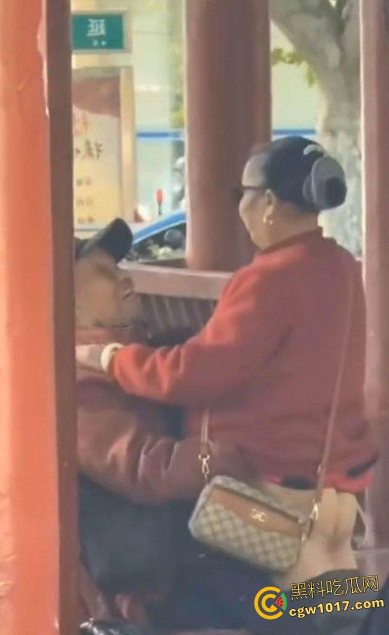 大白天凉亭活春宫,红衣大妈脱裤骑大爷,女上位啪啪响场面极其辣眼睛,大爷满脸春光,围观老头脸都红爆了 !-4