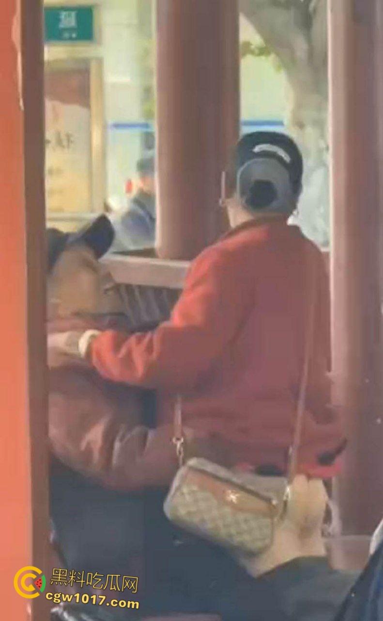 大白天凉亭活春宫,红衣大妈脱裤骑大爷,女上位啪啪响场面极其辣眼睛,大爷满脸春光,围观老头脸都红爆了 !-5