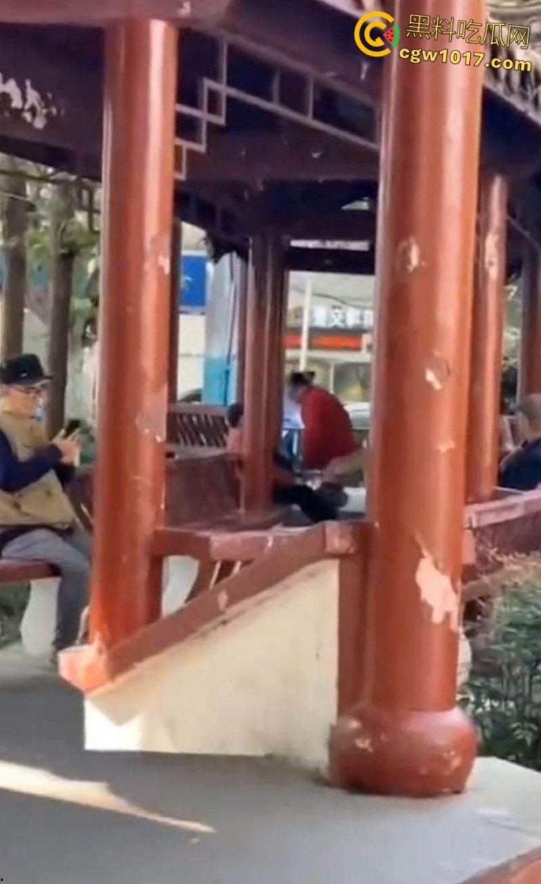 大白天凉亭活春宫,红衣大妈脱裤骑大爷,女上位啪啪响场面极其辣眼睛,大爷满脸春光,围观老头脸都红爆了 !-6