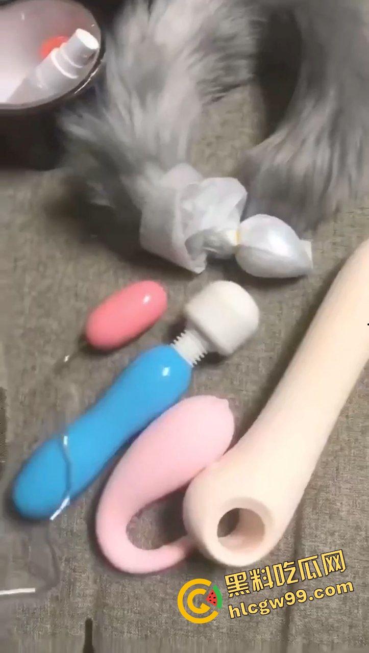 性瘾患者反差骚鸡『赵媚』玩具聊骚勾引小弟弟拍视频，遥控跳蛋刺激露出调教骚逼！-7