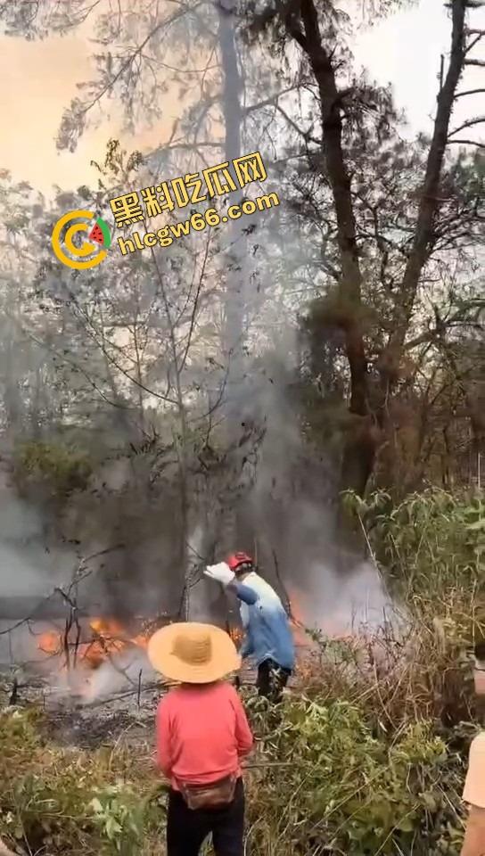 广西老表豪横上坟现场，不是祭祖，是直接给祖坟放高爆特效，十几个十万响鞭炮炸出烈焰战场！-2