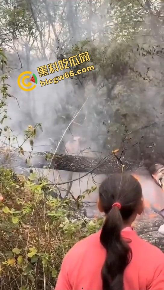 广西老表豪横上坟现场，不是祭祖，是直接给祖坟放高爆特效，十几个十万响鞭炮炸出烈焰战场！-4