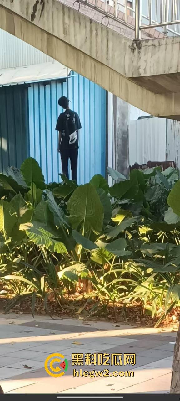 东莞粤华学校学生环城东路人行天桥上吊自杀,120到场已确认死亡,背后原因震惊!-5