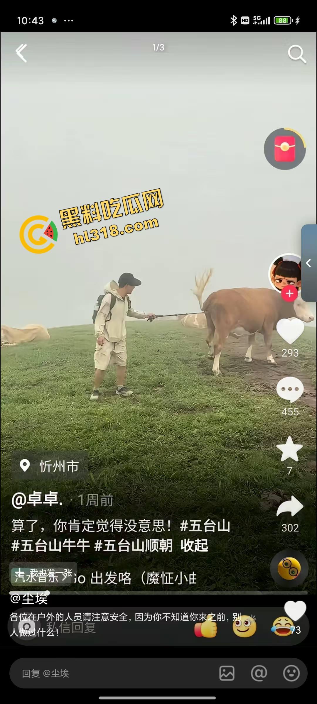 抖音爆笑热瓜,小伙拿登山杖挑牛菊花,没想到反被牛摁地摩擦,这下知道什么叫牛气冲天了吧!-4