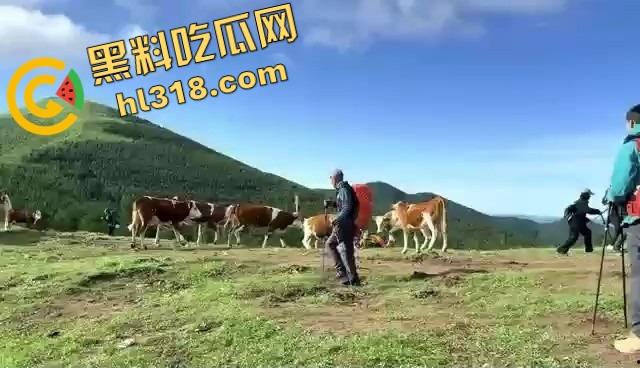 抖音爆笑热瓜,小伙拿登山杖挑牛菊花,没想到反被牛摁地摩擦,这下知道什么叫牛气冲天了吧!-8