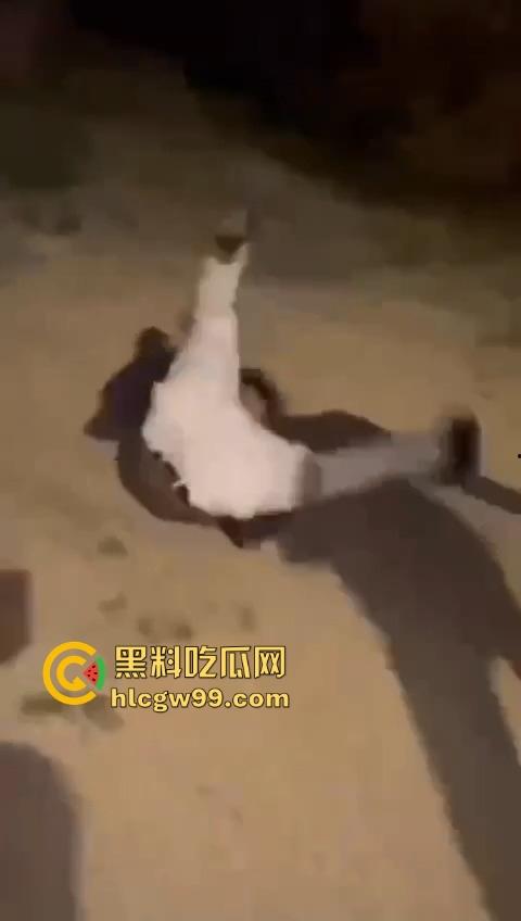 河南精神小伙线上嘴硬嚣张跋扈,线下衣服被脱光吊打,飞踢猛踹,互联网嘴炮被打得嗷嗷叫不敢还手!-8