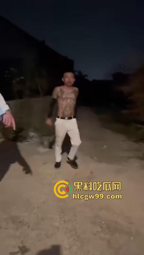 河南精神小伙线上嘴硬嚣张跋扈,线下衣服被脱光吊打,飞踢猛踹,互联网嘴炮被打得嗷嗷叫不敢还手!-11
