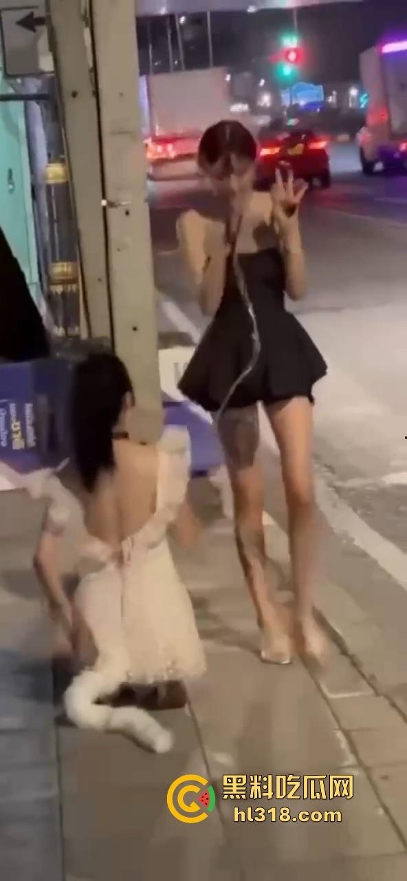 极品好闺蜜深夜路边户外露出调教,白嫩小母狗牵引沿路爬行,真听话是个好狗狗!-1