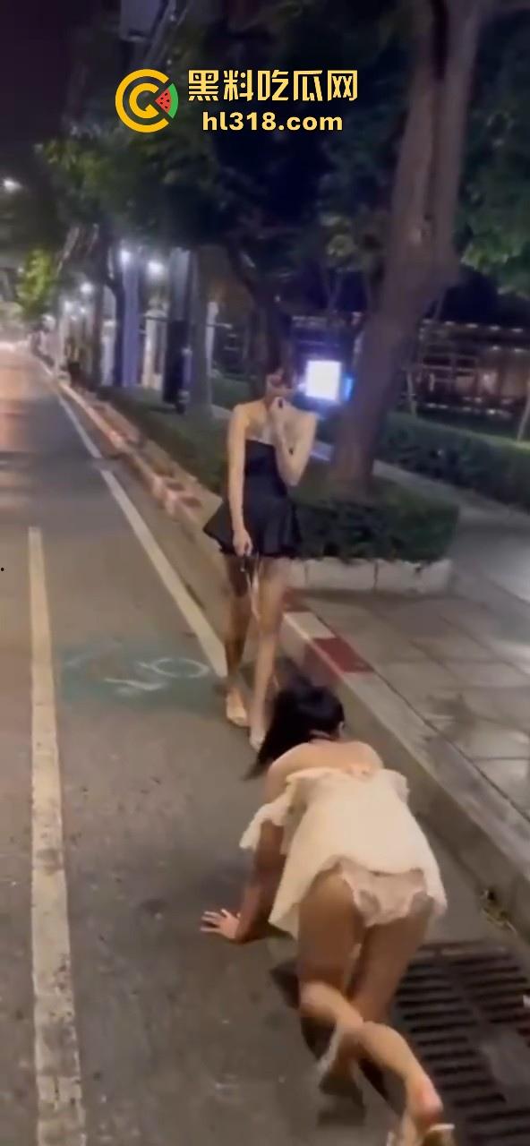 极品好闺蜜深夜路边户外露出调教,白嫩小母狗牵引沿路爬行,真听话是个好狗狗!-7