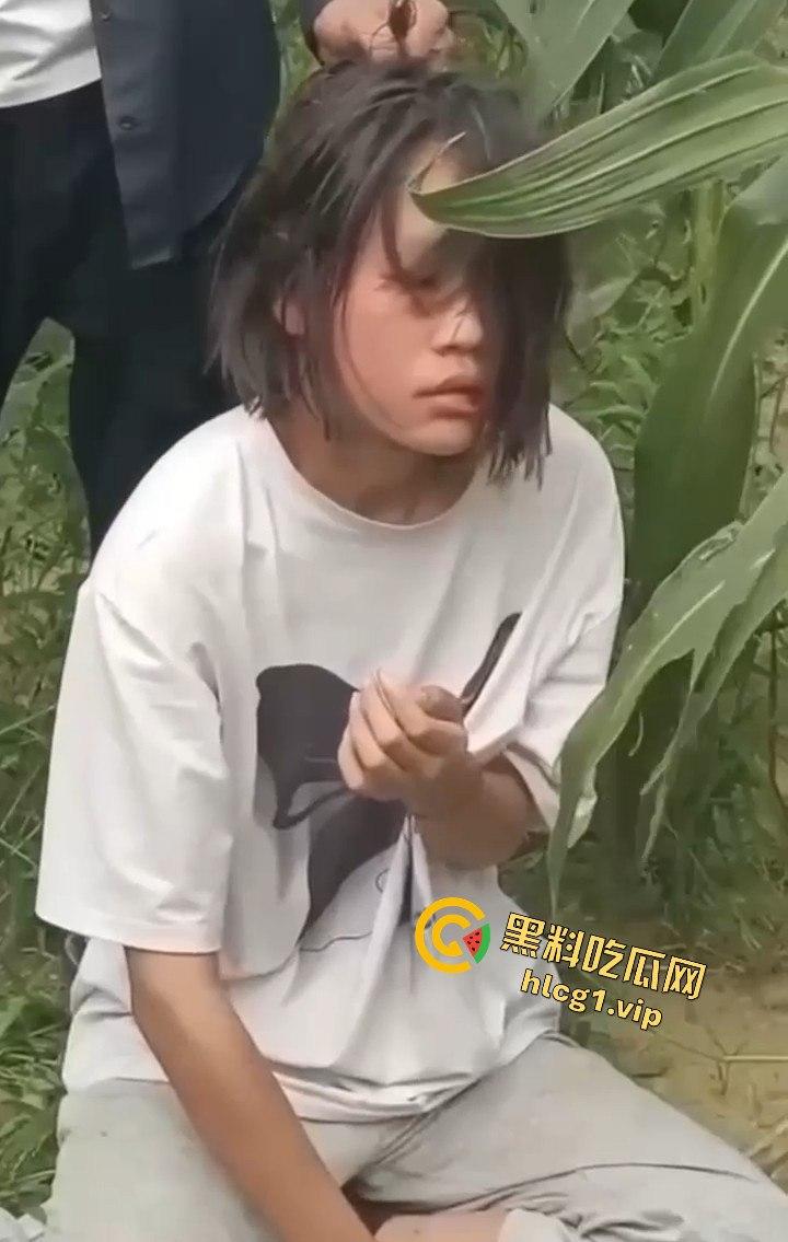 河南商丘高中女生被两名男同学殴打!玉米地中耳光、拳脚相加!-1