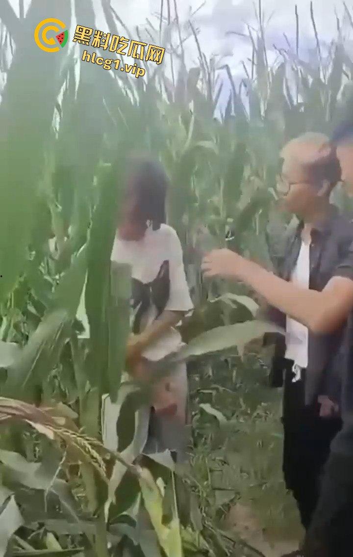 河南商丘高中女生被两名男同学殴打!玉米地中耳光、拳脚相加!-2