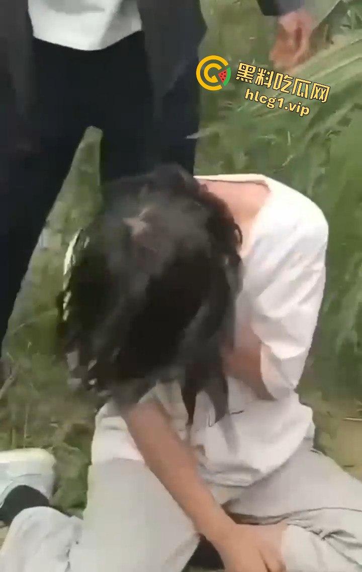 河南商丘高中女生被两名男同学殴打!玉米地中耳光、拳脚相加!-5