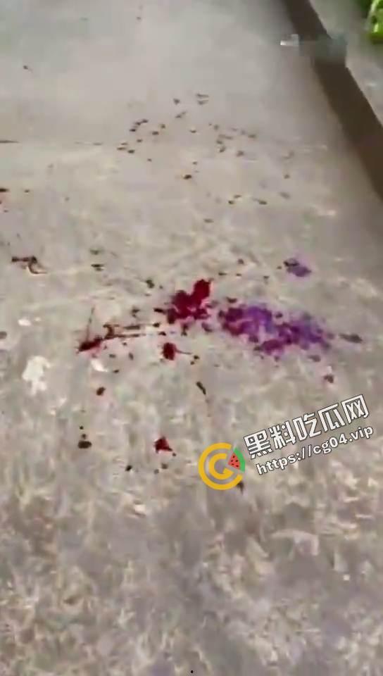 现场画面 ！菲律宾学校爆炸事件救援现场 血肉横飞 遍地鲜血-4