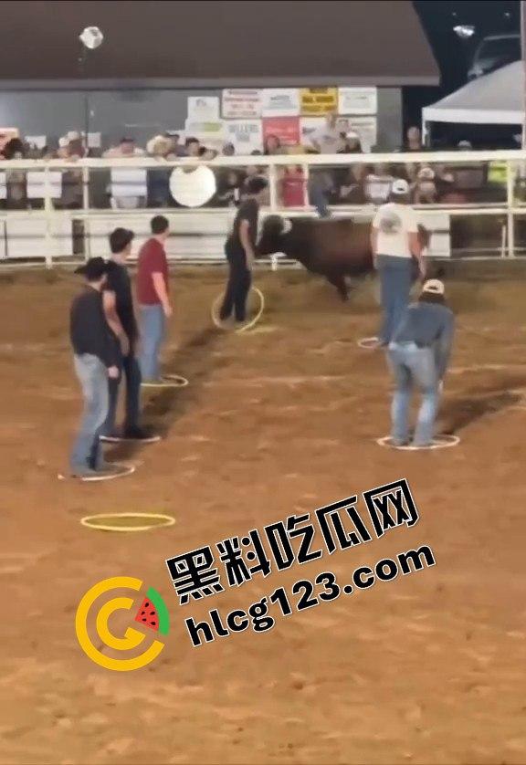 勇敢者的游戏:留在圈里拿10万美元?被牛撞一下骨折赚70万,这笔买卖真划算!-1