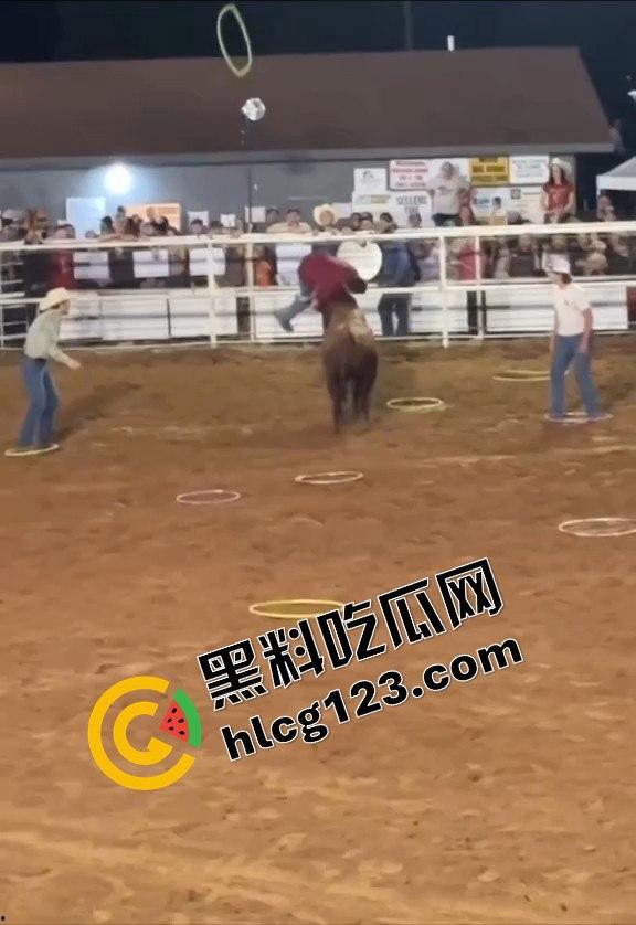 勇敢者的游戏:留在圈里拿10万美元?被牛撞一下骨折赚70万,这笔买卖真划算!-13