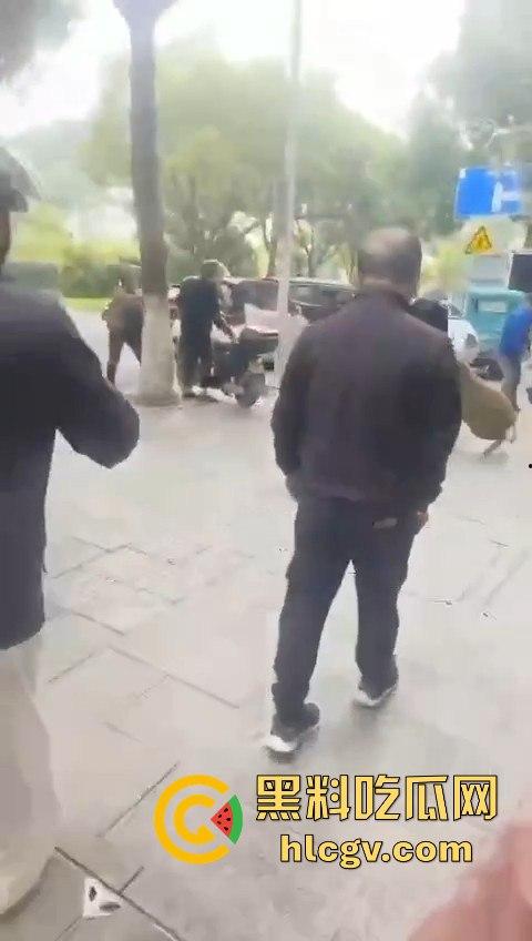 网友投稿浙江建德新安江惊现大野猪!早上9点横冲直撞,场面惊险万分!-7