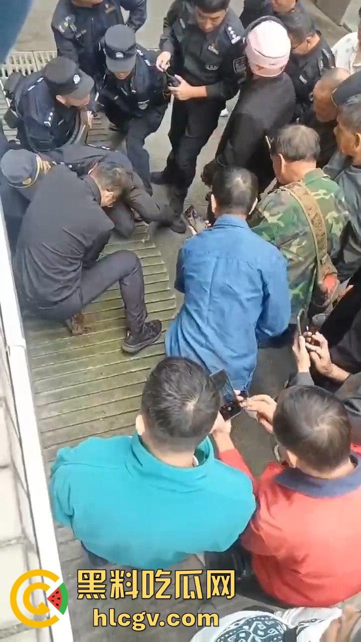 网友投稿浙江建德新安江惊现大野猪!早上9点横冲直撞,场面惊险万分!-8